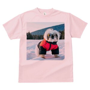 V[Y[ TVc  j[NfUCY LbY t@  t vg JWA 킢 lԗp Mtg I  V[Y[ ~ XL[EFA S[O