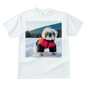 V[Y[ TVc  j[NfUCfB[X t@  t vg JWA 킢 lԗp Mtg I  V[Y[ ~ XL[EFA S[O