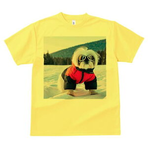 V[Y[ TVc  j[NfUCY LbY t@  t vg JWA 킢 lԗp Mtg I  V[Y[ ~ XL[EFA S[O