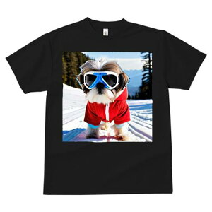 V[Y[ TVc  j[NfUCfB[X t@  t vg JWA 킢 lԗp Mtg I XL[ V[Y[  ~ XL[EFA