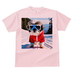 V[Y[ TVc  j[NfUCY LbY t@  t vg JWA 킢 lԗp Mtg I XL[ V[Y[  ~ XL[EFA