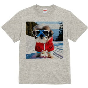 V[Y[ TVc  j[NfUCY LbY t@  t vg JWA 킢 lԗp Mtg I XL[ V[Y[  ~ XL[EFA