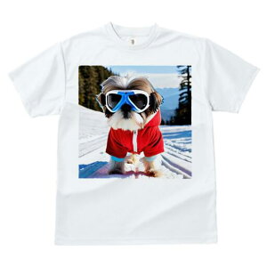 V[Y[ TVc  j[NfUCY LbY t@  t vg JWA 킢 lԗp Mtg I XL[ V[Y[  ~ XL[EFA
