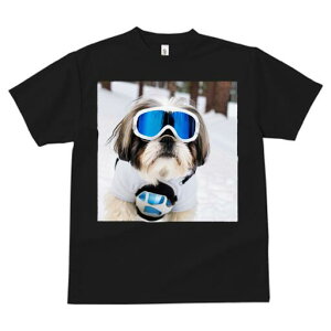 V[Y[ TVc  j[NfUCfB[X t@  t vg JWA 킢 lԗp Mtg I XL[S[O V[Y[ ~  XL[EFA