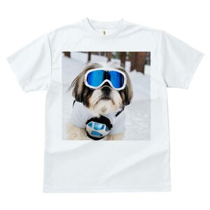 V[Y[ TVc  j[NfUCfB[X t@  t vg JWA 킢 lԗp Mtg I XL[S[O V[Y[ ~  XL[EFA