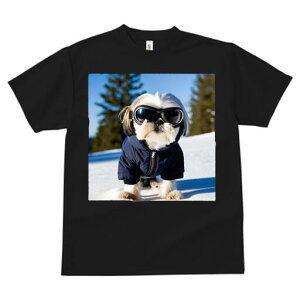 V[Y[ TVc  j[NfUCfB[X t@  t vg JWA 킢 lԗp Mtg I  V[Y[ ~ XL[EFA S[O