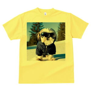 V[Y[ TVc  j[NfUCY LbY t@  t vg JWA 킢 lԗp Mtg I  V[Y[ ~ XL[EFA S[O