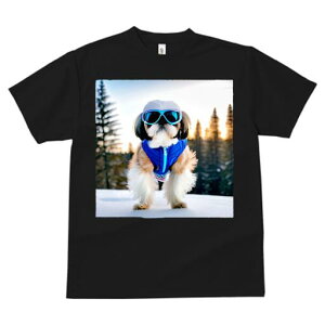 V[Y[ TVc  j[NfUCfB[X t@  t vg JWA 킢 lԗp Mtg I XL[EFA V[Y[ XL[S[O 