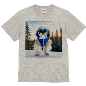 V[Y[ TVc  j[NfUCY LbY t@  t vg JWA 킢 lԗp Mtg I XL[EFA V[Y[ XL[S[O 