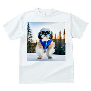 V[Y[ TVc  j[NfUCY LbY t@  t vg JWA 킢 lԗp Mtg I XL[EFA V[Y[ XL[S[O 