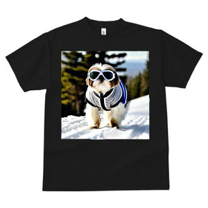 V[Y[ TVc  j[NfUCfB[X t@  t vg JWA 킢 lԗp Mtg I  V[Y[ XL[EFA S[O