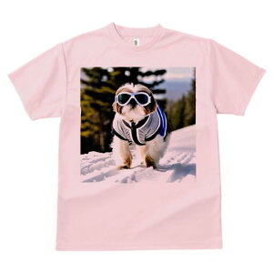 V[Y[ TVc  j[NfUCY LbY t@  t vg JWA 킢 lԗp Mtg I  V[Y[ XL[EFA S[O