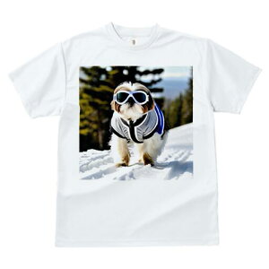 V[Y[ TVc  j[NfUCfB[X t@  t vg JWA 킢 lԗp Mtg I  V[Y[ XL[EFA S[O