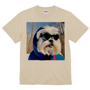 V[Y[ TVc  j[NfUCY LbY t@  t vg JWA 킢 lԗp Mtg I XL[EFA V[Y[ XL[S[O ~