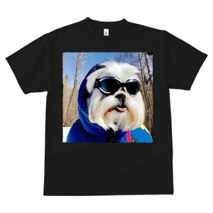 V[Y[ TVc  j[NfUCfB[X t@  t vg JWA 킢 lԗp Mtg I XL[EFA V[Y[ XL[S[O ~