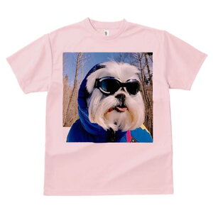 V[Y[ TVc  j[NfUCY LbY t@  t vg JWA 킢 lԗp Mtg I XL[EFA V[Y[ XL[S[O ~