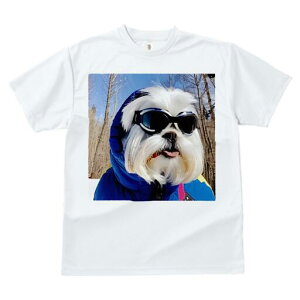 V[Y[ TVc  j[NfUCfB[X t@  t vg JWA 킢 lԗp Mtg I XL[EFA V[Y[ XL[S[O ~