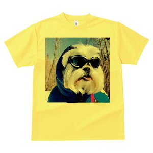 V[Y[ TVc  j[NfUCY LbY t@  t vg JWA 킢 lԗp Mtg I XL[EFA V[Y[ XL[S[O ~