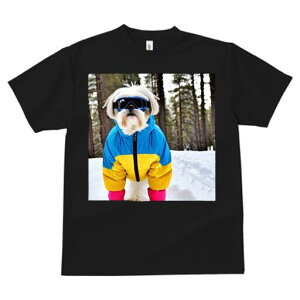 V[Y[ TVc  j[NfUCfB[X t@  t vg JWA 킢 lԗp Mtg I XL[EFA V[Y[  ~ XL[S[O