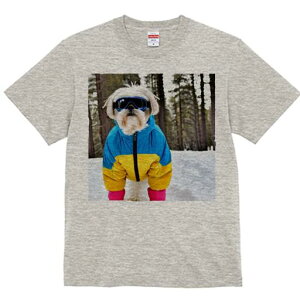 V[Y[ TVc  j[NfUCY LbY t@  t vg JWA 킢 lԗp Mtg I XL[EFA V[Y[  ~ XL[S[O