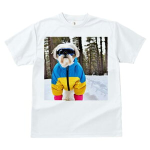 V[Y[ TVc  j[NfUCfB[X t@  t vg JWA 킢 lԗp Mtg I XL[EFA V[Y[  ~ XL[S[O