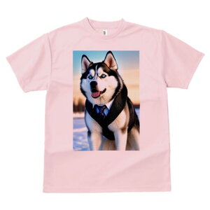 VxAnXL[ TVc  j[NfUCY LbY t@  t vg JWA 킢 lԗp Mtg I lN^C VxAnXL[ X[c