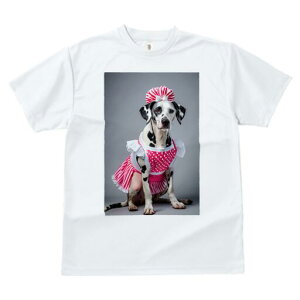 _VA TVc  j[NfUCY LbY t@  t vg JWA 킢 lԗp Mtg I Gv _VA ʖ͗l XgCv