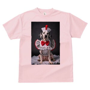 _VA TVc  j[NfUCY LbY t@  t vg JWA 킢 lԗp Mtg I RbNX _VA ԂlN^C t ʖ͗l