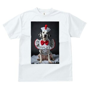 _VA TVc  j[NfUCfB[X t@  t vg JWA 킢 lԗp Mtg I RbNX _VA ԂlN^C t ʖ͗l