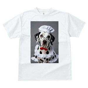 _VA TVc  j[NfUCfB[X t@  t vg JWA 킢 lԗp Mtg I RbNX _VA ԂlN^C t