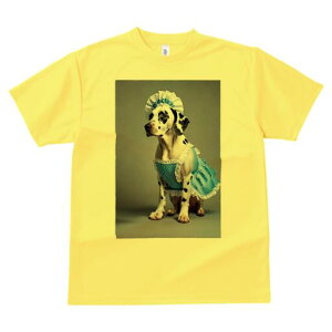 _VA TVc  j[NfUCY LbY t@  t vg JWA 킢 lԗp Mtg I Gv _VA t