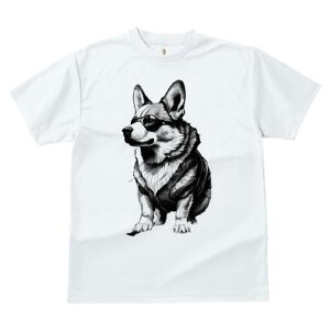 R[M[ TVc  j[NfUCfB[X t@  t vg JWA 킢 lԗp Mtg I Kl R[M[ WPbg