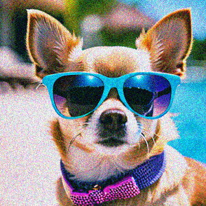 �T���O���X �`���� ��� ���l�N�^�C �N�b�V�����J�o�[ 45×45cm �A�j�}���� ������� ���� �N�b�V�����{�̕t�� �����`