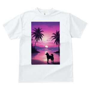 Č TVc  j[NfUCfB[X t@  t vg JWA 킢 lԗp Mtg I [Ă Č r[` V̖ C