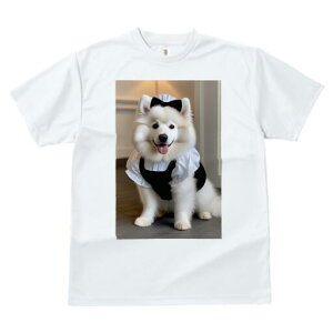 TGh TVc  j[NfUCfB[X t@  t vg JWA 킢 lԗp Mtg I Ch TGh RXv