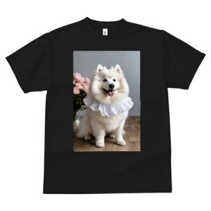 TGh TVc  j[NfUCfB[X t@  t vg JWA 킢 lԗp Mtg I ԑ TGh