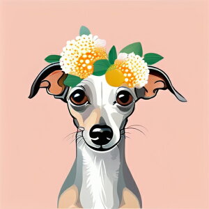  C^AO[nEh NbVJo[ 45×45cm Aj}   NbV{̕t `