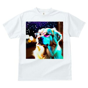 S[fgo[ TVc  j[NfUCfB[X t@  t vg JWA 킢 lԗp Mtg I Kl S[fgo[  i C~l[