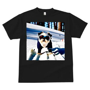 V[Y[ TVc  j[NfUCY LbY t@  t vg JWA 킢 lԗp Mtg I XL[ V[Y[  ~ XL[EFA