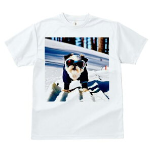 V[Y[ TVc  j[NfUCfB[X t@  t vg JWA 킢 lԗp Mtg I XL[ V[Y[  ~ XL[EFA