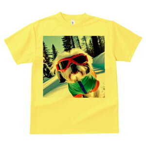 V[Y[ TVc  j[NfUCY LbY t@  t vg JWA 킢 lԗp Mtg I XL[ V[Y[ ~  XL[EFA