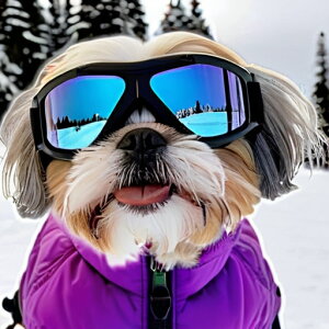 XL[ V[Y[ ~  XL[EFA NbVJo[ 45×45cm Aj}   NbV{̕t `