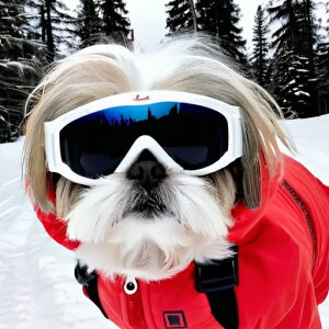 XL[ V[Y[ ~  XL[EFA NbVJo[ 45×45cm Aj}   NbV{̕t `