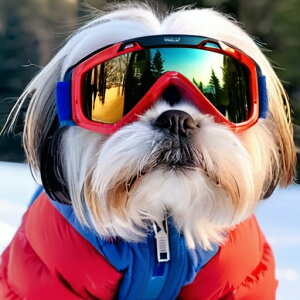 XL[EFA V[Y[ XL[S[O NbVJo[ 45×45cm Aj}   NbV{̕t `