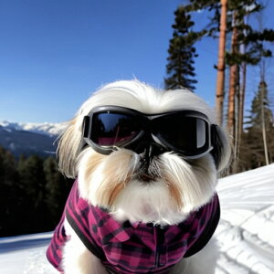 XL[ V[Y[ XL[EFA ~ R NbVJo[ 45×45cm Aj}   NbV{̕t `