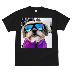 V[Y[ TVc  j[NfUCfB[X t@  t vg JWA 킢 lԗp Mtg I XL[ V[Y[ ~  XL[EFA