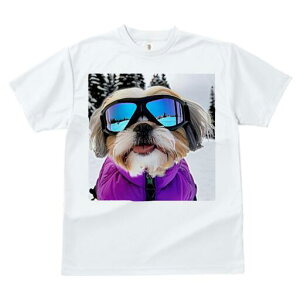 V[Y[ TVc  j[NfUCfB[X t@  t vg JWA 킢 lԗp Mtg I XL[ V[Y[ ~  XL[EFA