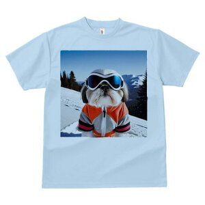 V[Y[ TVc  j[NfUCY LbY t@  t vg JWA 킢 lԗp Mtg I XL[ V[Y[ ~ R XL[EFA