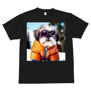 V[Y[ TVc  j[NfUCfB[X t@  t vg JWA 킢 lԗp Mtg I XL[EFA V[Y[ S[O ~