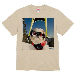 V[Y[ TVc  j[NfUCY LbY t@  t vg JWA 킢 lԗp Mtg I XL[ V[Y[ R XL[EFA S[O